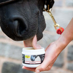 Lip & Bit Balm