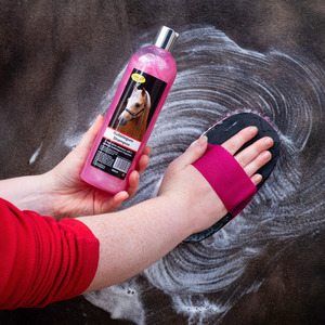 Bubblegum Shampoo