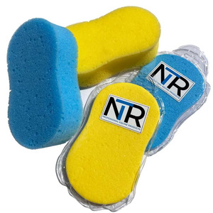 Eziwash Sponge