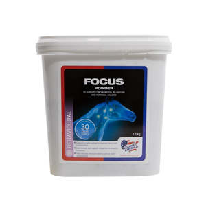 Focus