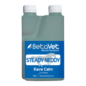 STEADY NEDDY