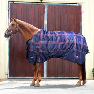 Neeta Patch: Zilco Crusader 200 RUG