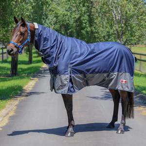 Neeta Patch: Woolguard Combo