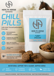 Gifts: Health Horse Chill Pills
