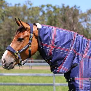 Crusader 200 Neck Rug