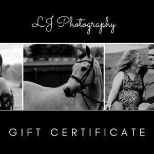 LJ Photography fundraiser auction (ESNZ Flood Relief fund)