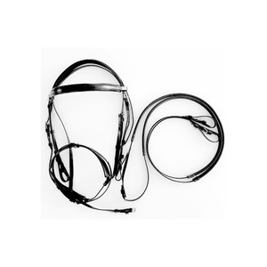 Products: Synthetic Bridle - Full - Equine 9