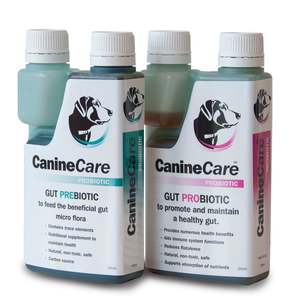 Products: CanineCare Gut Health Duo – Prebiotic & Probiotic Support for Your Dog’s Digestive Health (Save $10!)
