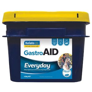 Products: GastroAID Everyday