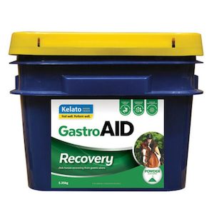 Products: GastroAID Recovery