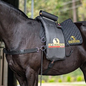Products: Equissage Edge Back Pad CVT Horse Therapy