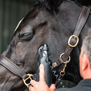 Products: Equissage Hand Unit Targeted Equine CVT Massage Therapy