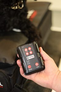 Products: Pro Series Wireless Remote Control - Equissage New Zealand