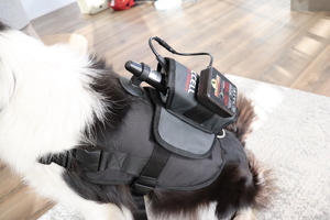 Products: Accell Pro Series Harness - Small