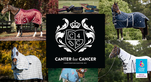 Products: $250 Canter for Cancer Voucher 1 - Equus Auctions
