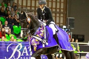 Products: Exclusive Lesson on Grand Prix Dressage Horse & Stable Visit with Wendi Williamson - Equus Auctions