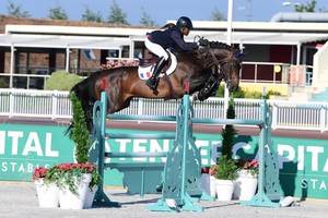 Products: European Stallion Service & Breeding Package - Equus Auctions
