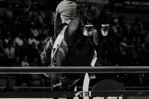 Products: A3 Canvas Print by Cornege Photography - Equus Auctions