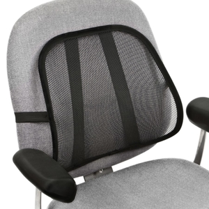 Mesh Back Support – ergogo