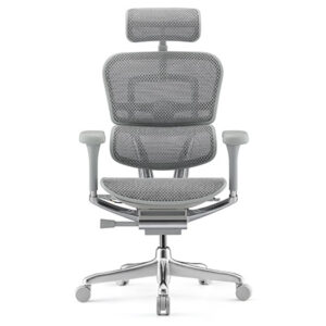 Products: Ergohuman 2 Elite Platinum Mesh