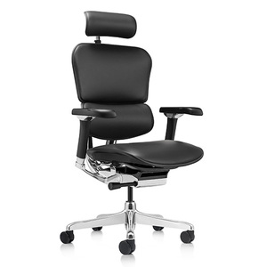 Ergohuman 2 Luxury Office Chair: Ergohuman 2 Luxury Mesh