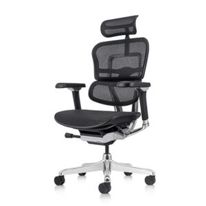 Ergohuman 2 Luxury Office Chair: Ergohuman 2 Luxury Leather Black