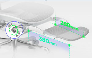 Products: Ergohuman 2 Luxury Mesh Legrest