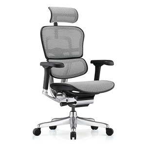 Ergohuman 2 Elite Office Chair: Ergohuman 2 Elite Fabric Mesh Combo