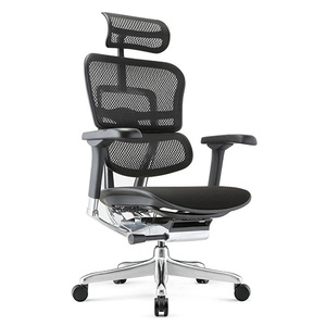 Ergohuman 2 Elite Office Chair: Ergohuman 2 Elite Mesh Legrest