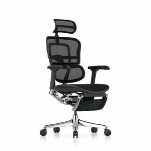 Ergohuman 2 Elite Office Chair: Ergohuman 2 Elite Mesh no Headrest