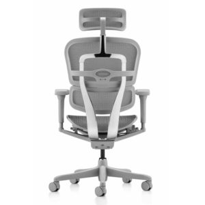 Products: Ergohuman Ultra CARBON Edition