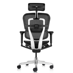 Products: Brant Mesh Ergonomic Chair no Headrest