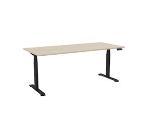 STS 2 Sit to Stand Electric