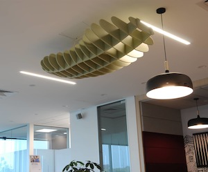 Acoustics: Cloud Acoustic Baffle