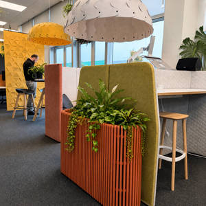 Acoustics: Folia Acoustic Planter