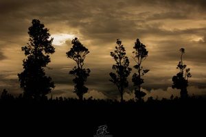 Products: West Coast 10 - ER Imaging Photography