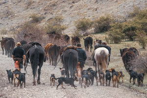 Molesworth 3 - ER Imaging Photography