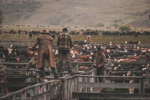 Molesworth 2 - ER Imaging Photography