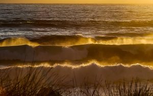 Products: Beached 3 - ER Imaging Photography