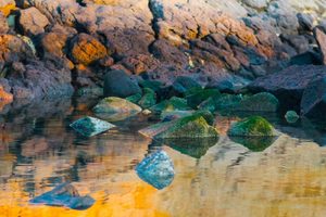 Products: Beached 2 - ER Imaging Photography