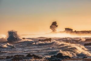 Products: Beached 1 - ER Imaging Photography