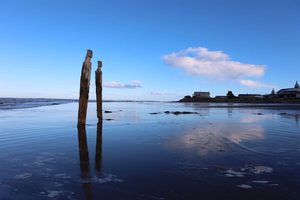 Products: Beached 10 - ER Imaging Photography