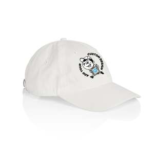 ACCESS CAP | 1130
