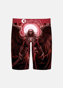 Boys Underwear: Boys Demon Time Staple