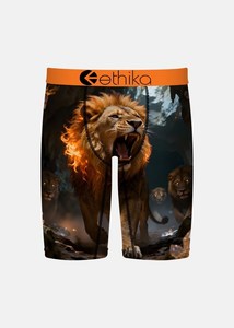 Boys Underwear: Boys The Pack Staple