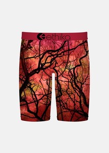 Boys Underwear: Boys Blare Which Staple