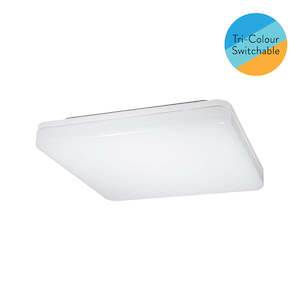 Ceiling Lights: YYS - 18W CCT Button