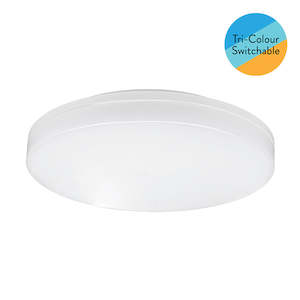 Ceiling Lights: YYR - 18W CCT Button