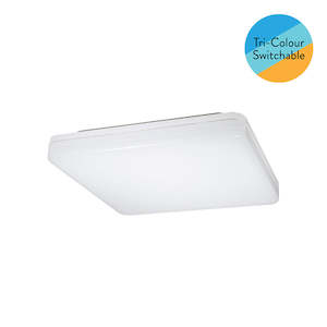 Ceiling Lights: YYS - 15W CCT Button