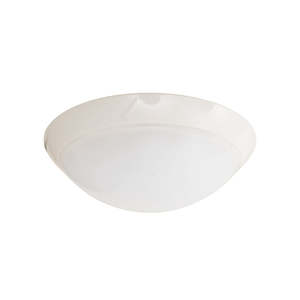 Ceiling Lights: White LED Button